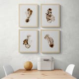 "Exotica IV - 16" x 20"" - Limited Edition Prints - Photography in brown by Kamala Nahas