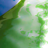 "69 Flashback" - Limited Edition Prints - Photography in green by Catherine Hartigan