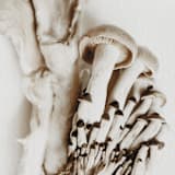 "Exotica II - 11" x 14"" - Limited Edition Prints - Photography in brown by Kamala Nahas