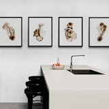 "Exotica II - 11" x 14"" - Limited Edition Prints - Photography in brown by Kamala Nahas