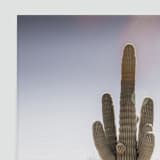 "Saguaro (24" x 36")" - Limited Edition Prints - Photography in multicolor by Eric Clegg