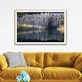 "Reeds" - Limited Edition Prints - Photography in blue by Catherine Hartigan