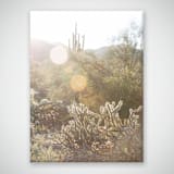 "Sonoran Desert (18" x 24")" - Limited Edition Prints - Photography in multicolor by Eric Clegg