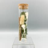 "Dried Flower Herbarium Botanical Eucalyptus" - Bridesmaid Gifts in green by Christine OMalley