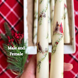 "Set of Two Christmas Cardinal Taper Candles" - Candles and Holders in beige by Emily de Moraes