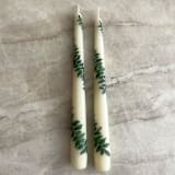 "Ivory with Greenery Hand-Painted Taper Candles, Set of 2" - Candles and Holders in beige by Ashley Myers