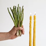 "Yellow Asparagus Beeswax Taper Candles (Pair of 2)" - Candles and Holders in yellow by Artifaqt