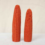 "Maple Leaf - Corn Beeswax Candle Set" - Candles and Holders in orange by Happy Organics