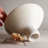 "Crystalline White Matte Glazed Pedestal Vessel" - Decorative Object in white by Lisa Fleming