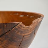 "Eastern Redbud II" - Decorative Object in brown by Ryan Tollstrup