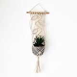 "Macrame Plant Hanger - Vines" - Decorative Object in natural by Bharti Trivedi