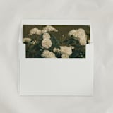 "Still-life Floral Envelope Liners, Square Flap, Pack of 25" - Envelope Liners in multicolorassorted-colors by Studio Lavender