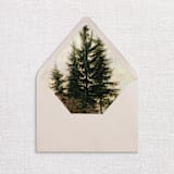 "Tree Envelope Liners, Nature, Pack of 25" - Envelope Liners in multicolorassorted-colors by Studio Lavender