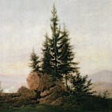 "Tree Envelope Liners, Nature, Pack of 25" - Envelope Liners in multicolorassorted-colors by Studio Lavender