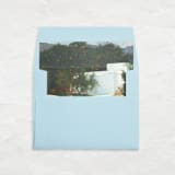 "A7 Fine Art Envelope Liners Square Flap // Citrus Estates (Set of 25)" - Envelope Liners in green by Clover and Lamb