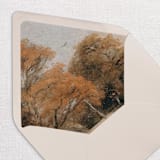 "Fall Envelope Liners, Autumn, Pack of 25" - Envelope Liners in multicolorassorted-colors by Studio Lavender