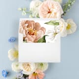 "Blush and Peach Floral | Set of 25 Envelope Liners" - Envelope Liners in pink by Nikki Turner