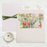 "A7 Fine Art Envelope Liners Square Flap // Tomato Vines (Set of 25)" - Envelope Liners in red by Clover and Lamb