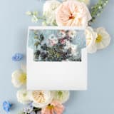 "Beauty in Chrisanthamums  | Set of 25 Envelope Liners" - Envelope Liners in multicolor by Nikki Turner