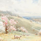 "A7 Fine Art Envelope Liners // Spring Sheep (Set of 25)" - Envelope Liners in multicolorassorted-colors by Clover and Lamb