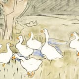 "A7 Fine Art Envelope Liners // Darling Ducks (Set of 25)" - Envelope Liners in green by Clover and Lamb