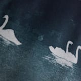 "A7 Fine Art Envelope Liners // Swans (Set of 25)" - Envelope Liners in blue by Clover and Lamb