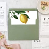 "A7 Envelope Liners Lemon Tree Square Flap (set of 10)" - Envelope Liners in yellow by Design by Laney