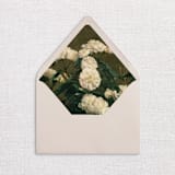 "Still-life Floral Envelope Liners, Pack of 25" - Envelope Liners in multicolorassorted-colors by Studio Lavender