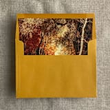 "Fall afternoon landscape painting envelope liner for A7 square flap envelope | pack of 10" - Envelope Liners in multicolor by Ivory Invitations