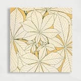 "Leaves from Nature | Set of 25 Envelope Liners" - Envelope Liners in yellow by Nikki Turner