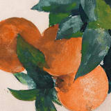 "A7 Fine Art Envelope Liners // Citrus Canopy (Set of 25)" - Envelope Liners in orange by Clover and Lamb