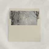 "Winter Envelope Liners, Square Flap, Pack of 25" - Envelope Liners in multicolorassorted-colors by Studio Lavender