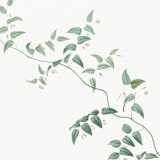 "Botanical Vine Envelope Liners, Pack of 25" - Envelope Liners in multicolor by Studio Lavender