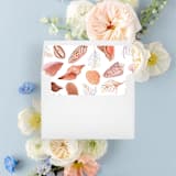 "Neutral Seashell Liner | Set of 25 Square Envelope Liners" - Envelope Liners in multicolorassorted-colors by Nikki Turner