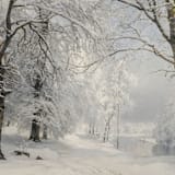 "Winter Envelope Liners, Pack of 25" - Envelope Liners in multicolorassorted-colors by Studio Lavender