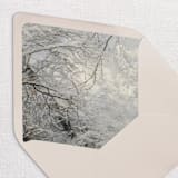 "Winter Envelope Liners, Pack of 25" - Envelope Liners in multicolorassorted-colors by Studio Lavender