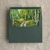 "Birch tree pathway fine art landscape printed liner for A7 square flap envelope | pack of 10" - Envelope Liners in green by Ivory Invitations