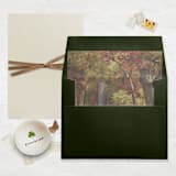 "A7 Fine Art Envelope Liners Square Flap // Autumn Woodland (Set of 25)" - Envelope Liners in multicolorassorted-colors by Clover and Lamb