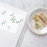 "A7 Envelope Liners Greenery Vines Square Flap (set of 10)" - Envelope Liners in green by Design by Laney