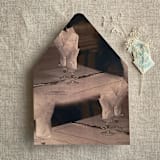 "Rosé table setting for guests printed envelope liner for A7 euro flap envelope | pack of 10" - Envelope Liners in multicolor by Ivory Invitations