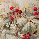 "A7 Envelope Liners // Raspberry Fields (Set of 25)" - Envelope Liners in red by Clover and Lamb