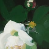 "A7 Fine Art Envelope Liners // Moonlit Rose (Set of 25)" - Envelope Liners in white by Clover and Lamb