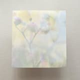 "A7 Envelope Liners Silvered Floral in Sage for Straight Flap Envelopes | Pack of 10" - Envelope Liners in multicolor by Renée Stramel