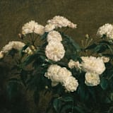 "Still-life Floral Envelope Liners, 6.25 x 6.25 Square Flap, Pack of 25" - Envelope Liners in multicolor by Studio Lavender