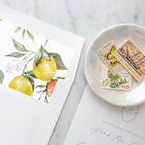"A7 Envelope Liners Lemon Pattern Square Flap (set of 10)" - Envelope Liners in yellow by Design by Laney