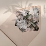 "Floral Envelope Liners, Pack of 25" - Envelope Liners in multicolorassorted-colors by Studio Lavender