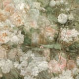 "Floral Envelope Liners, Pack of 25" - Envelope Liners in multicolorassorted-colors by Studio Lavender