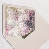 "Blooming Floral Envelope Liners, Pack of 25" - Envelope Liners in multicolorassorted-colors by Studio Lavender