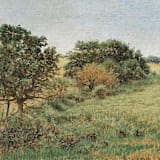 "Field of Wheat Envelope Liners, Pack of 25" - Envelope Liners in multicolorassorted-colors by Studio Lavender