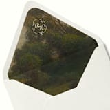 "Monogram Woodlands Fine Art Envelope Liner | Set of 10" - Envelope Liners in green by Paper Haven